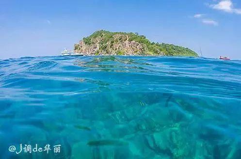 河谷冒险逃生