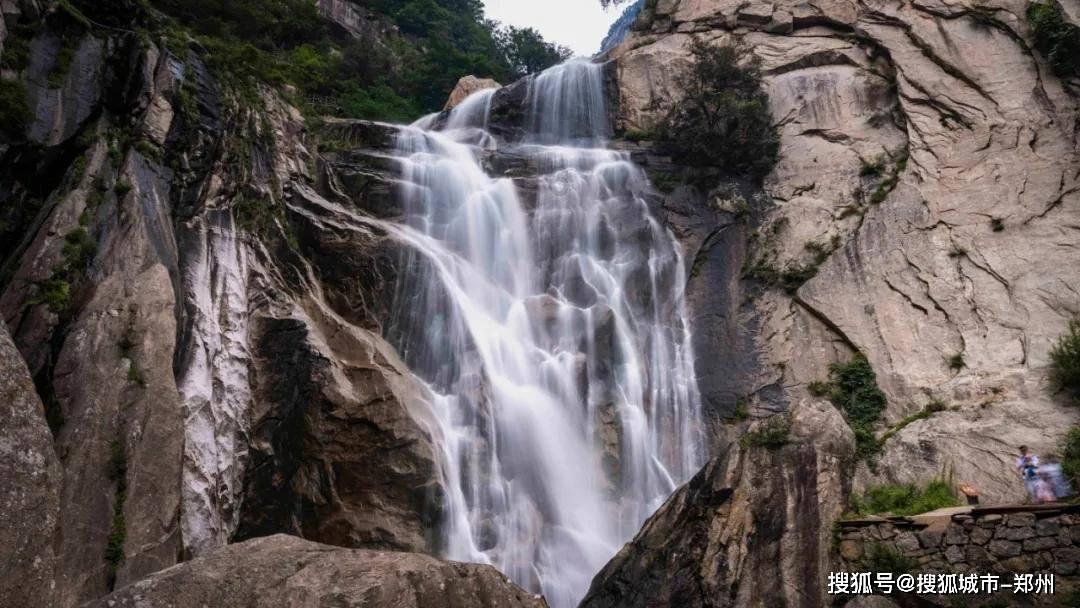 昭阳区南苑街私自收取停车费问题；永善县水竹乡蓝莓种植项目分红问题；镇雄县杉树乡益明竹业农民专业合作社分红问题~有回复